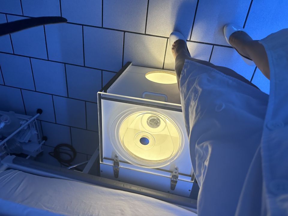 Notwenige Dirtygames Therapie