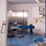 Klinikum AvS Dresden - Foto Nr. 10