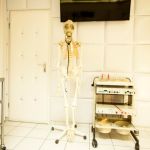 Klinikum House of bizarre Dreams - Foto Nr. 2