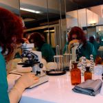 Dr. Madame P. - Foto Nr. 4